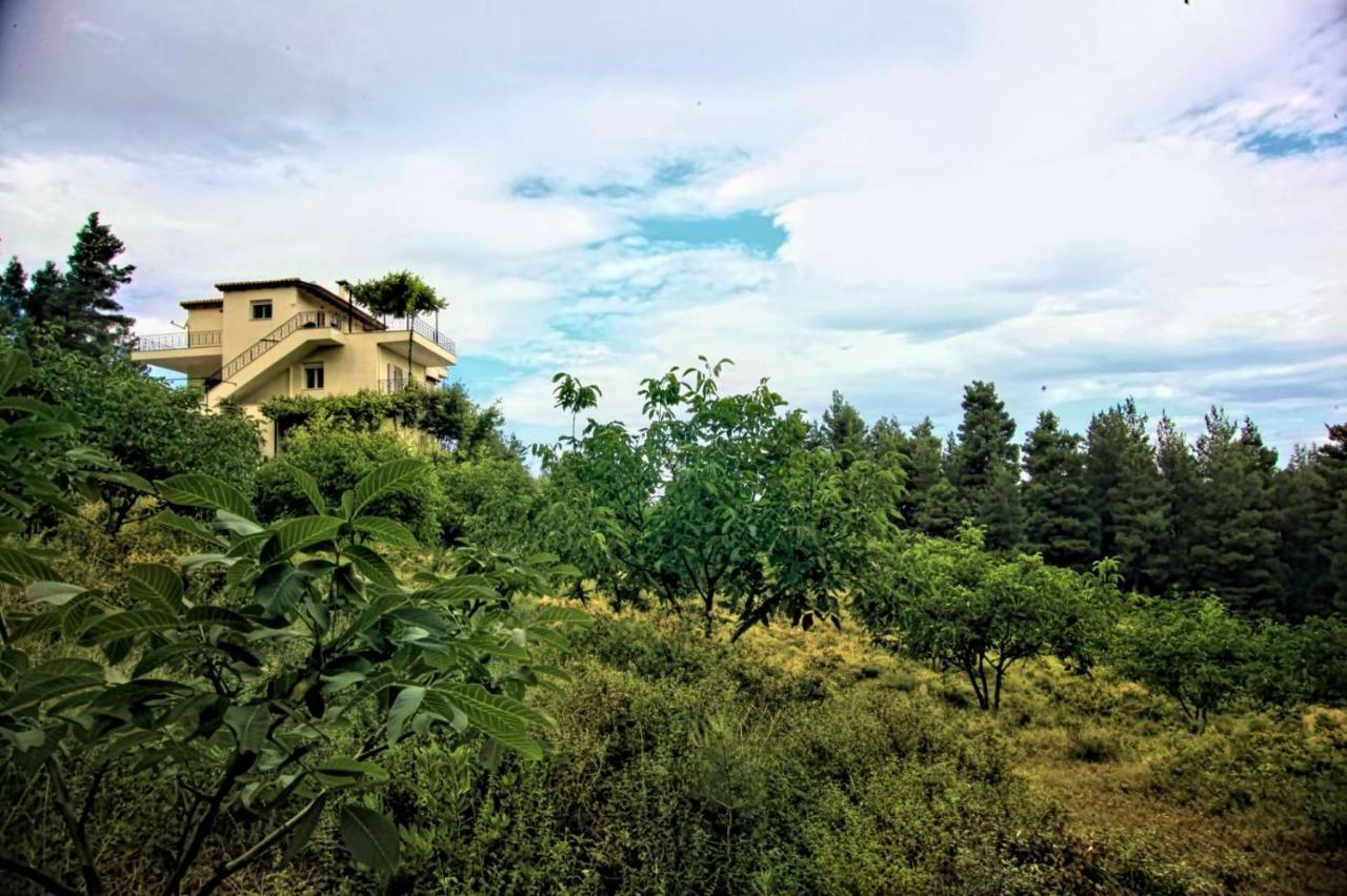 Dream House Capturing The Magic Of Nature Vlachia Ngoại thất bức ảnh