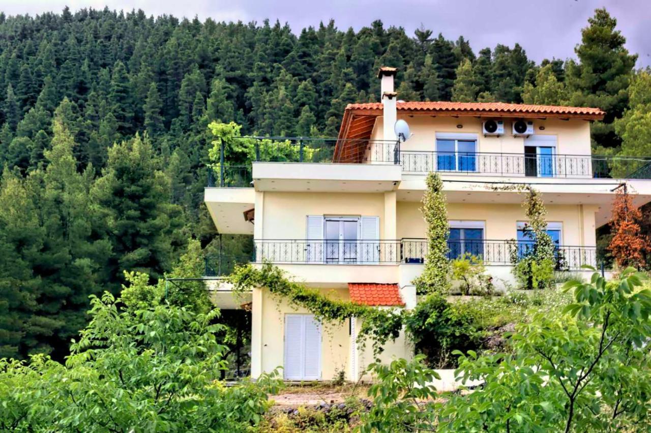Dream House Capturing The Magic Of Nature Vlachia Ngoại thất bức ảnh