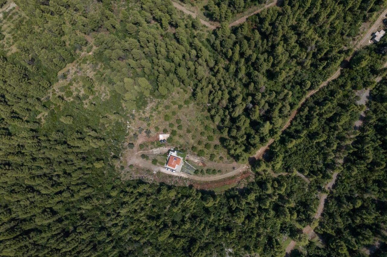 Dream House Capturing The Magic Of Nature Vlachia Ngoại thất bức ảnh