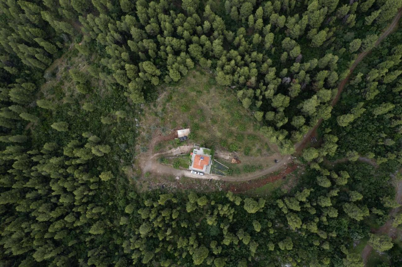 Dream House Capturing The Magic Of Nature Vlachia Ngoại thất bức ảnh